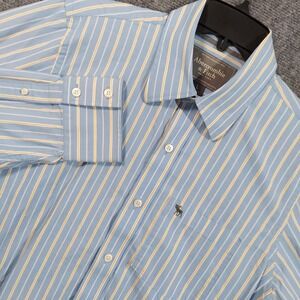 Abercrombie & Fitch Shirt Mens Large Blue‎ Stripe Button Down Muscle Fit Moose